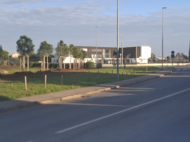 Umag: Pijan udrio u betonski otok i prometne znakove.Platio kaznu 1580 eura!